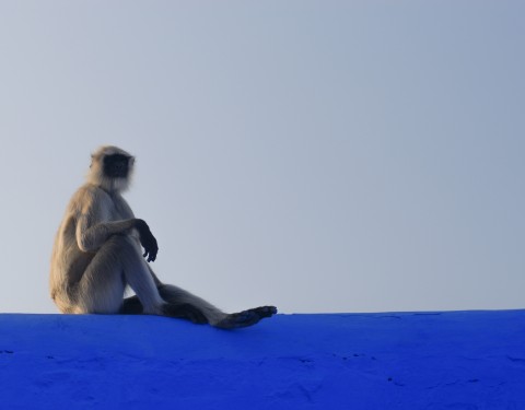 Tes yeux me souriaient