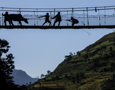 Tes yeux me souriaient