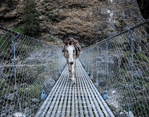 Tes yeux me souriaient