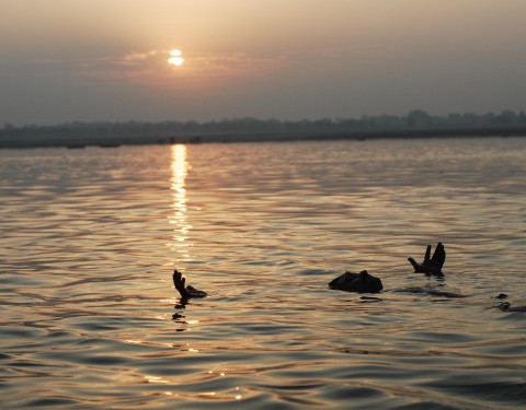 Tes yeux me souriaient